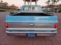 1975 Chevrolet C10 for sale in Michigan (ID-106690)