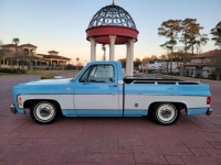 1975 Chevrolet C10 for sale in Michigan (ID-106690)