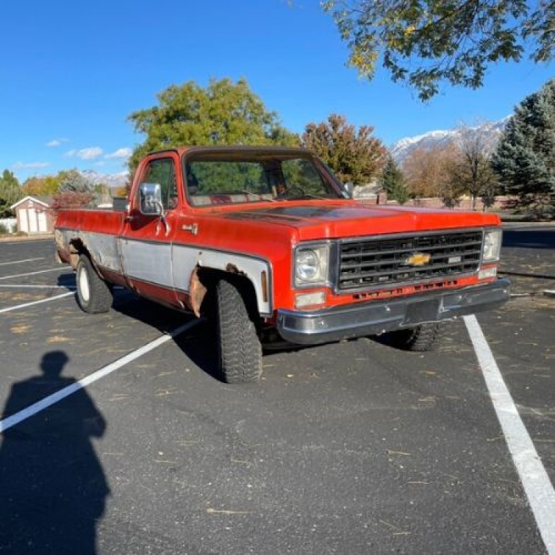 1975 Chevrolet C10 for sale in Michigan (ID-122142) 1975 Chevrolet C10 for sale in Michigan (ID-122142)