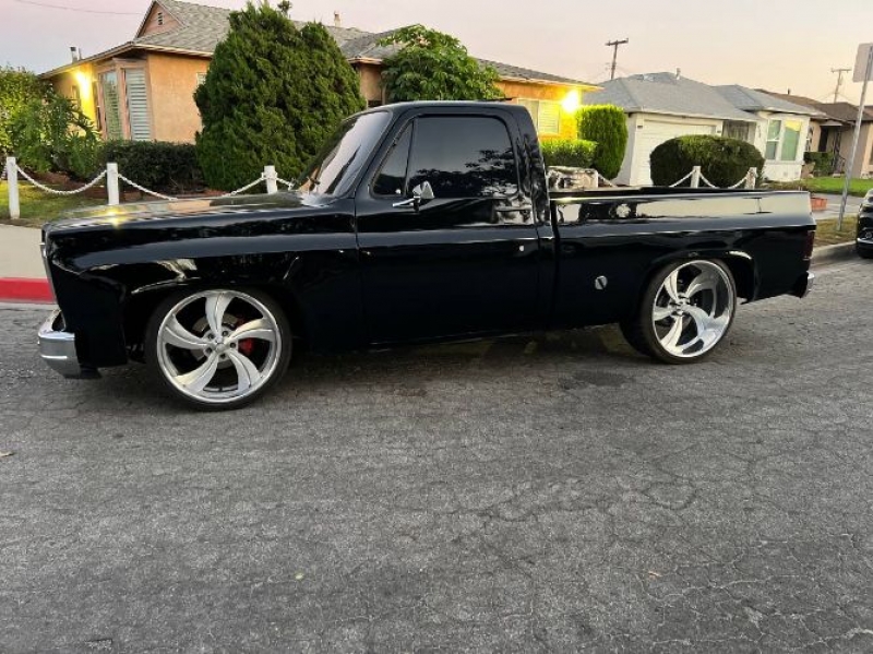 1975 Chevrolet C10 for sale in Michigan (ID-123916)