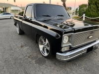 1975 Chevrolet C10 for sale in Michigan (ID-123916)