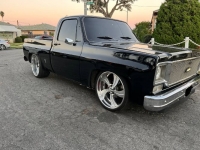 1975 Chevrolet C10 for sale in Michigan (ID-123916)
