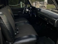 1975 Chevrolet C10 for sale in Michigan (ID-123916)