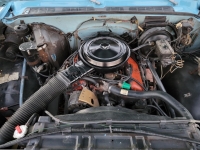 1975 Chevrolet C10 for sale (ID-124765)