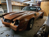 1975 Chevrolet Camaro for sale in Michigan (ID-126403)