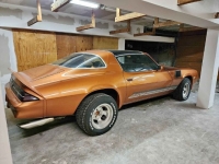 1975 Chevrolet Camaro for sale in Michigan (ID-126403)