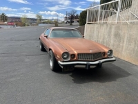 1975 Chevrolet Camaro for sale in Michigan (ID-126658)