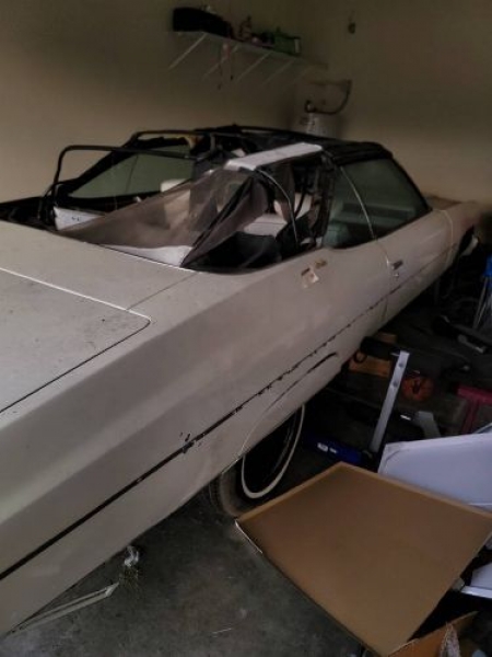 1975 Chevrolet Caprice for sale in Michigan (ID-121426)