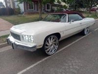 1975 Chevrolet Caprice for sale in Michigan (ID-131125)