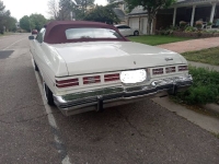 1975 Chevrolet Caprice for sale in Michigan (ID-131125)