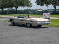1975 Chevrolet Caprice for sale in Riverhead, New York (ID-144522)