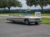 1975 Chevrolet Caprice for sale in Riverhead, New York (ID-144522)