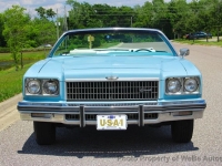 1975 Chevrolet Caprice for sale in Riverhead, New York (ID-163614)