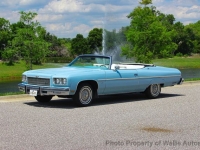 1975 Chevrolet Caprice for sale in Riverhead, New York (ID-163614)