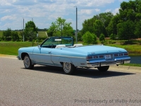 1975 Chevrolet Caprice for sale in Riverhead, New York (ID-163614)