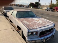 1975 Chevrolet Caprice Classic for sale in Michigan (ID-110361)