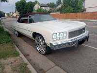 1975 Chevrolet Caprice Classic for sale in Michigan (ID-136711)