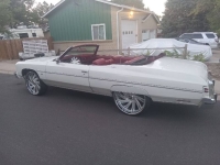 1975 Chevrolet Caprice Classic for sale in Michigan (ID-136711)