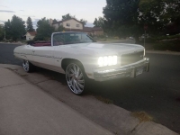 1975 Chevrolet Caprice Classic for sale in Michigan (ID-136711)