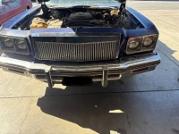 1975 Chevrolet Caprice Classic for sale in Michigan (ID-161867)