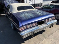 1975 Chevrolet Caprice Classic for sale in Michigan (ID-161867)