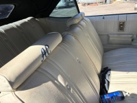 1975 Chevrolet Caprice Classic for sale in Michigan (ID-161867)