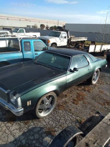 1975 Chevrolet Chevelle for sale in Michigan (ID-113340)