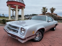 1975 Chevrolet Chevelle for sale (ID-134563)
