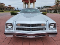 1975 Chevrolet Chevelle for sale (ID-134563)