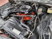 1975 Chevrolet Chevelle for sale (ID-134563)