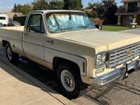 1975 Chevrolet Cheyenne for sale in Michigan (ID-144848)