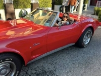 1975 Chevrolet Convertible for sale in Michigan (ID-143377)