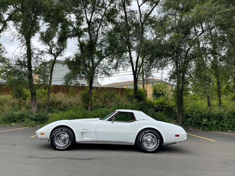 1975 Chevrolet Corvette for sale in Addison, Illinois (ID-107630)