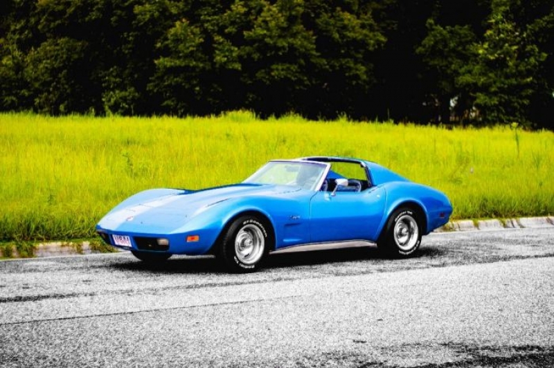 1975 Chevrolet Corvette for sale in Michigan (ID-112035)