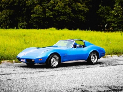 1975 Chevrolet Corvette for sale