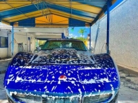1975 Chevrolet Corvette for sale in Michigan (ID-112539)
