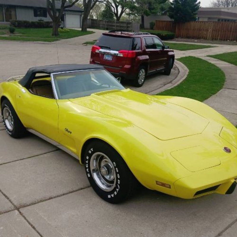 1975 Chevrolet Corvette for sale in Michigan (ID-116023)