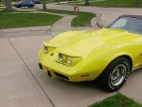 1975 Chevrolet Corvette for sale in Michigan (ID-116023)