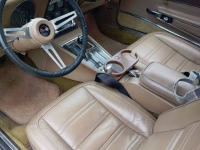 1975 Chevrolet Corvette for sale in Michigan (ID-116023)