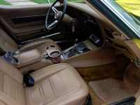 1975 Chevrolet Corvette for sale in Michigan (ID-116023)