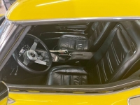 1975 Chevrolet Corvette for sale in Michigan (ID-118139)
