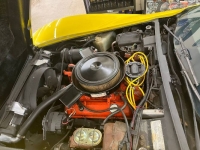 1975 Chevrolet Corvette for sale in Michigan (ID-118139)