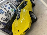 1975 Chevrolet Corvette for sale in Michigan (ID-118139)