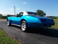 1975 Chevrolet Corvette for sale in Michigan (ID-118464)