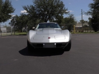 1975 Chevrolet Corvette for sale in Michigan (ID-121256)
