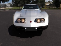 1975 Chevrolet Corvette for sale in Michigan (ID-121256)