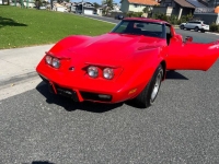 1975 Chevrolet Corvette for sale in Michigan (ID-122877)