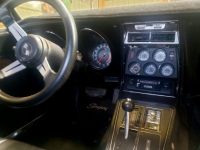 1975 Chevrolet Corvette for sale in Michigan (ID-123899)