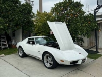 1975 Chevrolet Corvette for sale in Michigan (ID-126546)