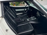 1975 Chevrolet Corvette for sale in Michigan (ID-126546)